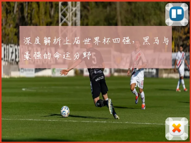 深度解析上届世界杯四强,黑马与豪强的命运分野