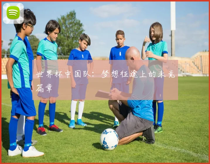 世界杯中国队：梦想征途上的未竟篇章