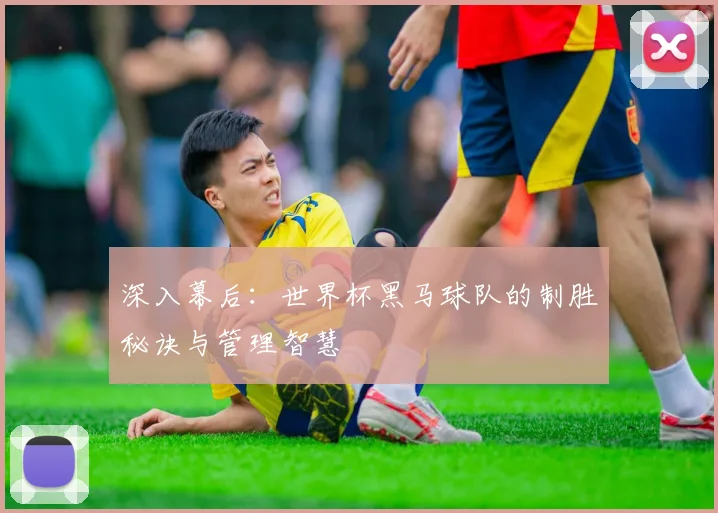 深入幕后：世界杯黑马球队的制胜秘诀与管理智慧