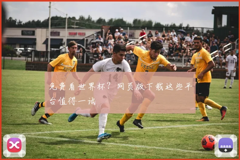 免费看世界杯？网页版下载这些平台值得一试