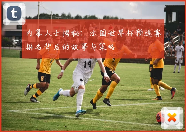 内幕人士揭秘:法国世界杯预选赛排名背后的故事与策略