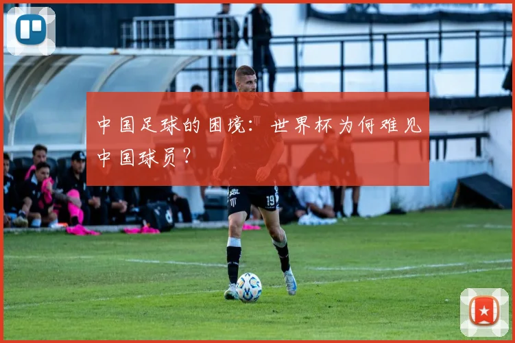 中国足球的困境：世界杯为何难见中国球员？